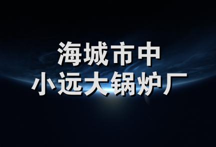 海城市中小远大锅炉厂