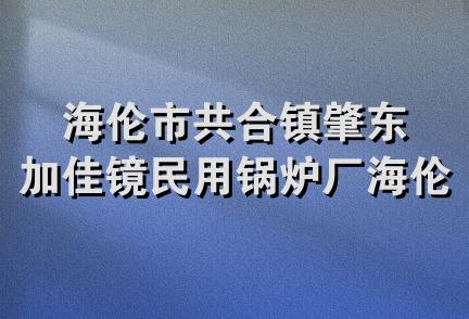 海伦市共合镇肇东加佳镜民用锅炉厂海伦总经销部