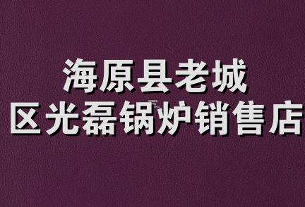 海原县老城区光磊锅炉销售店