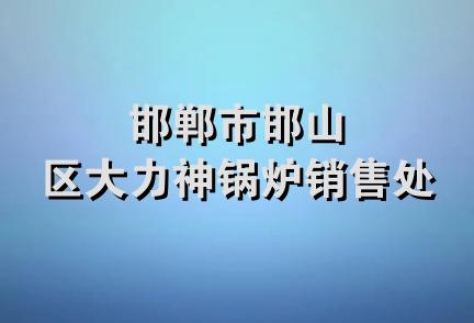 邯郸市邯山区大力神锅炉销售处