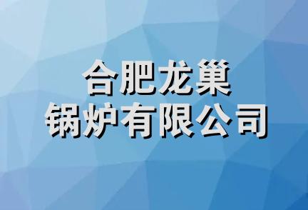 合肥龙巢锅炉有限公司