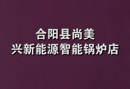 合阳县尚美兴新能源智能锅炉店