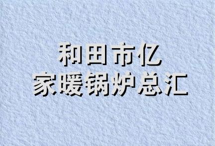 和田市亿家暖锅炉总汇