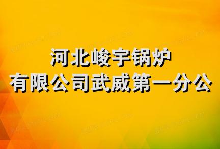 河北峻宇锅炉有限公司武威第一分公司