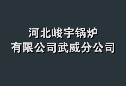 河北峻宇锅炉有限公司武威分公司