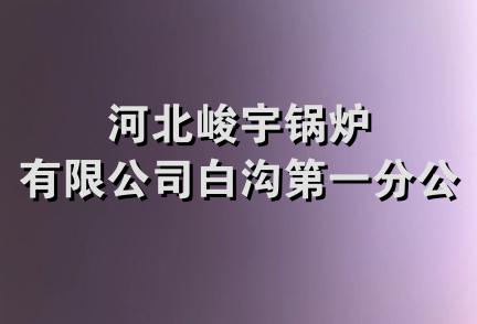 河北峻宇锅炉有限公司白沟第一分公司