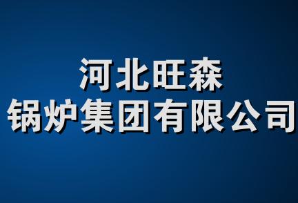 河北旺森锅炉集团有限公司