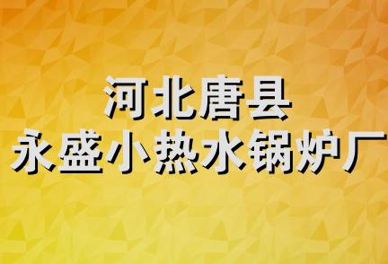 河北唐县永盛小热水锅炉厂