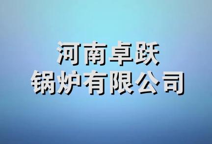 河南卓跃锅炉有限公司