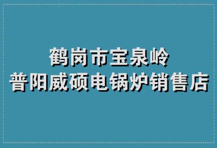 鹤岗市宝泉岭普阳威硕电锅炉销售店