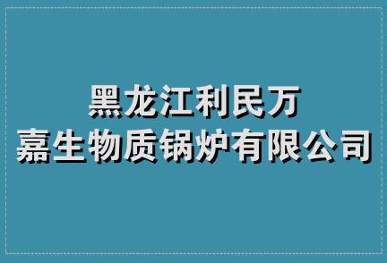 黑龙江利民万嘉生物质锅炉有限公司