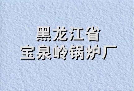 黑龙江省宝泉岭锅炉厂