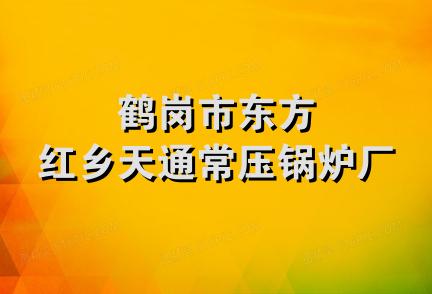 鹤岗市东方红乡天通常压锅炉厂