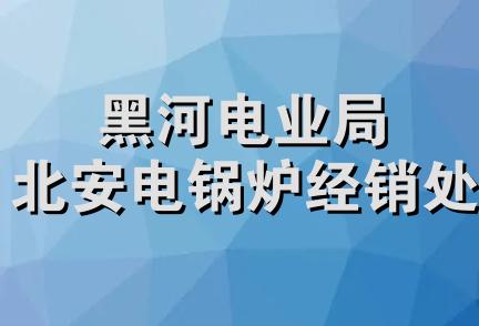 黑河电业局北安电锅炉经销处