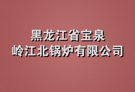 黑龙江省宝泉岭江北锅炉有限公司