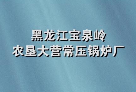 黑龙江宝泉岭农垦大营常压锅炉厂