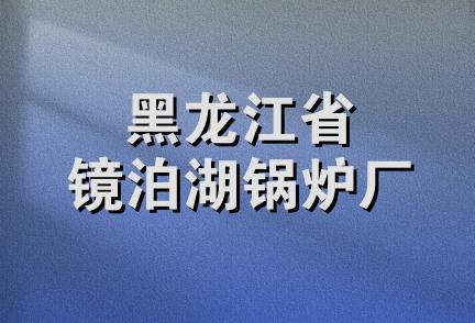 黑龙江省镜泊湖锅炉厂