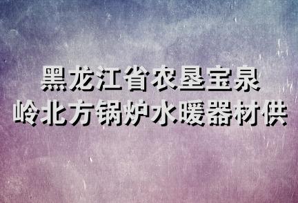 黑龙江省农垦宝泉岭北方锅炉水暖器材供应站