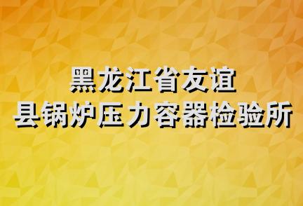 黑龙江省友谊县锅炉压力容器检验所