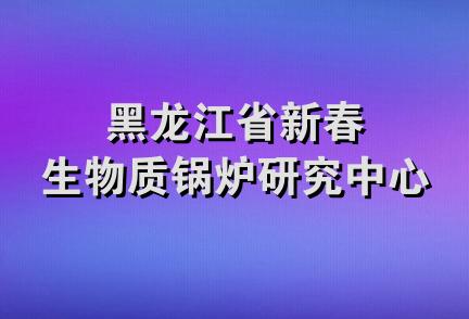 黑龙江省新春生物质锅炉研究中心