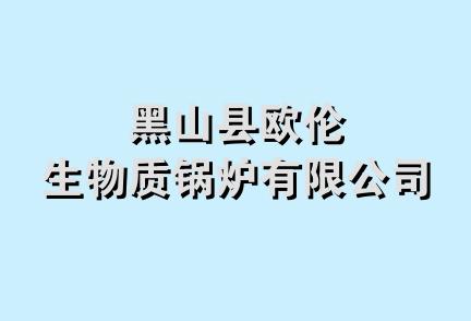 黑山县欧伦生物质锅炉有限公司