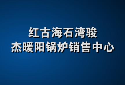 红古海石湾骏杰暖阳锅炉销售中心