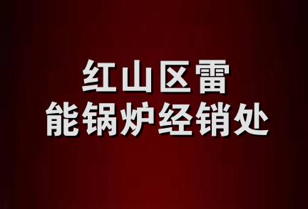 红山区雷能锅炉经销处