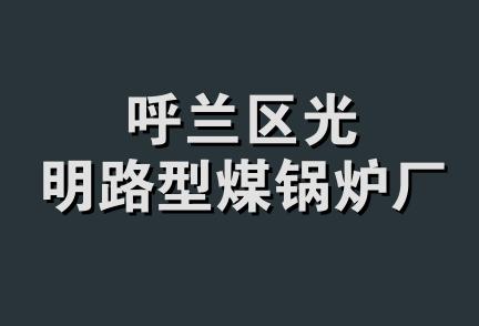 呼兰区光明路型煤锅炉厂