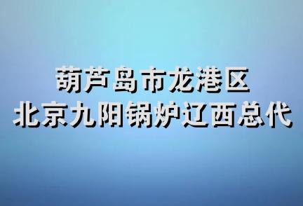 葫芦岛市龙港区北京九阳锅炉辽西总代理处