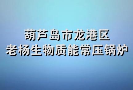 葫芦岛市龙港区老杨生物质能常压锅炉厂