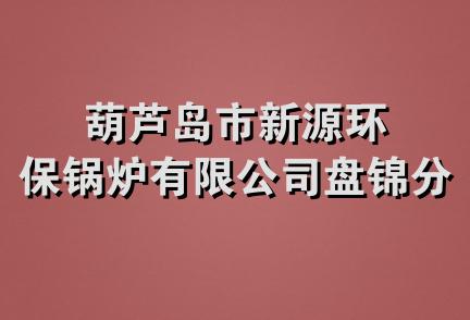 葫芦岛市新源环保锅炉有限公司盘锦分公司