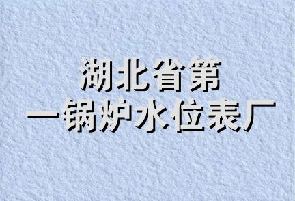 湖北省第一锅炉水位表厂