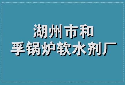 湖州市和孚锅炉软水剂厂