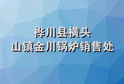 桦川县横头山镇金川锅炉销售处