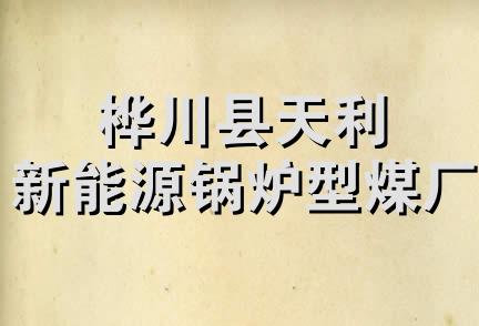 桦川县天利新能源锅炉型煤厂