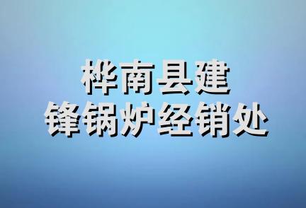 桦南县建锋锅炉经销处