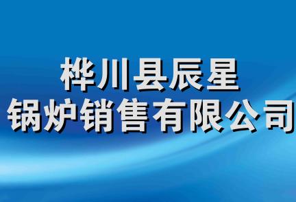 桦川县辰星锅炉销售有限公司