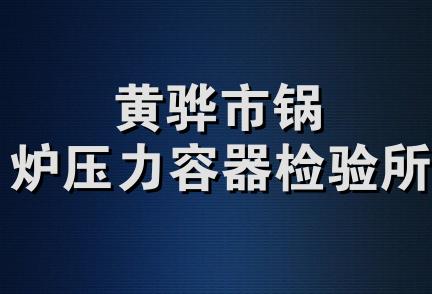 黄骅市锅炉压力容器检验所