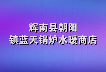 辉南县朝阳镇蓝天锅炉水暖商店