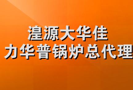 湟源大华佳力华普锅炉总代理