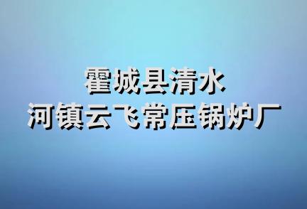 霍城县清水河镇云飞常压锅炉厂