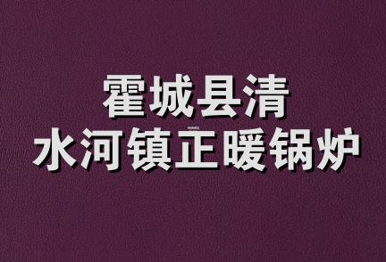 霍城县清水河镇正暖锅炉