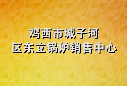 鸡西市城子河区东立锅炉销售中心