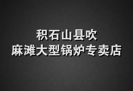 积石山县吹麻滩大型锅炉专卖店