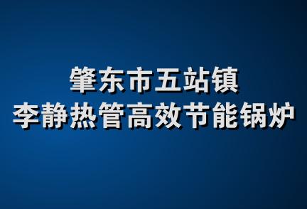 肇东市五站镇李静热管高效节能锅炉厂