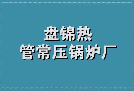 盘锦热管常压锅炉厂