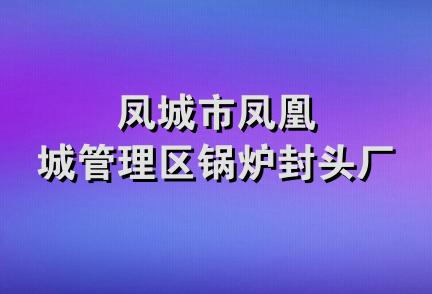 凤城市凤凰城管理区锅炉封头厂