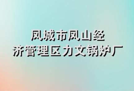 凤城市凤山经济管理区力文锅炉厂