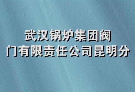 武汉锅炉集团阀门有限责任公司昆明分公司