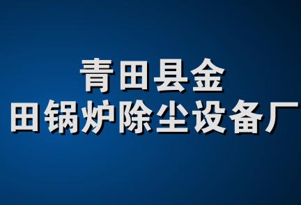 青田县金田锅炉除尘设备厂